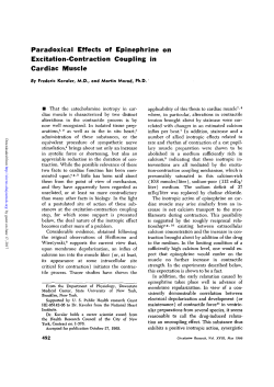 Paradoxical Effects of Epinephrine on Excitation
