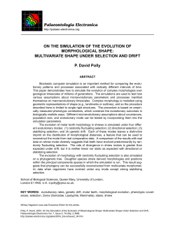 on the simulation of the evolution of morphological shape