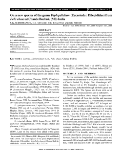 from felis chausat chande budruk