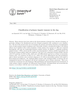 Classification of primary hepatic tumours in the dog