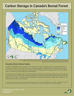 Carbon Storage in Canada`s Boreal Forest