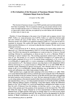 A Re-evaluation of the Structure of Narcissus Mosaic Virus and