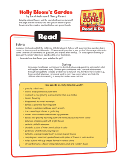 Holly Bloom`s Garden