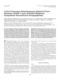 A Novel Succinate Dehydrogenase Subunit B Gene Mutation