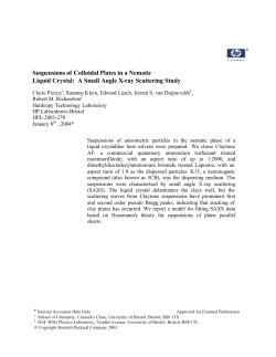 Suspensions of Colloidal Plates in a Nematic Liquid Crystal: A Small