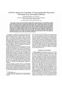 Cell-free system for assembly of transcriptionally repressed
