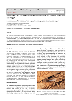 Review about the use of the Invertebrates in Pisciculture: Termites