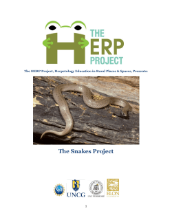 The Snakes Project - The Herp Project