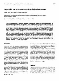 Autotrophic and mixotrophic growth of Gallionella