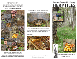 herptiles - Friends of Buford Park