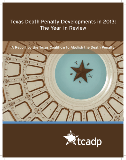 Texas Death Penalty Developments in 2013