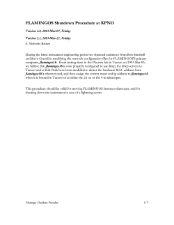 Untitled - Flamingos