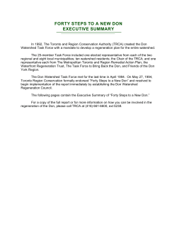 forty steps to a new don executive summary