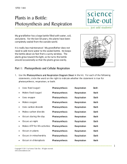 Photosynthesis and Cellular Respiration - Science Take-Out