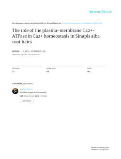 The role of the plasma-membrane Ca2+