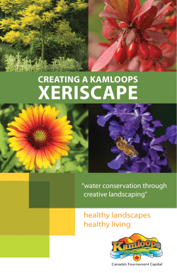 Creating a Kamloops Xeriscape