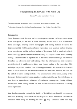 Strengthening Sulfur Casts with Plasti-Dip