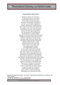 Caged behind the Barbed Fence Behind the barbed wire of the