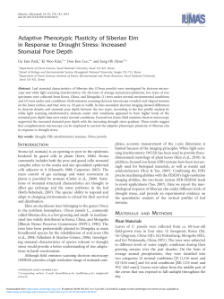 Increased Stomatal Pore Depth