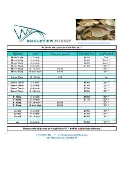 Species Size Cost per Fish Availability Price per pound