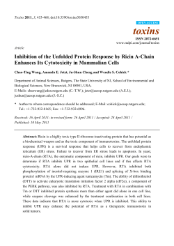 Inhibition of the Unfolded Protein Response by Ricin A