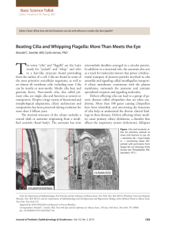 Beating Cilia and Whipping Flagella: More Than Meets the