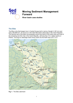 Case Elbe