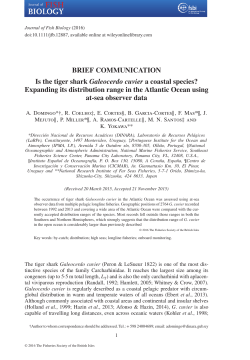 Is the tiger shark Galeocerdo cuvier a coastal species? Expanding