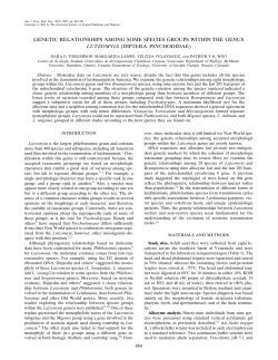 genetic relationships among some species groups within the genus