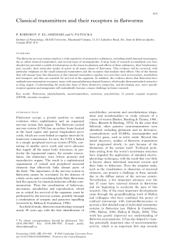 Classical transmitters and their receptors in flatworms