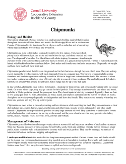 Chipmunks - Cornell Cooperative Extension Rockland County