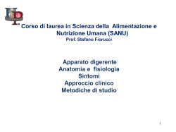 (SANU) Apparato digerente Anatomia e fisiologia Sintomi