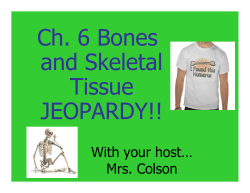 Jeopardy AP Bones Ch 6 - Answers [Compatibility Mode]