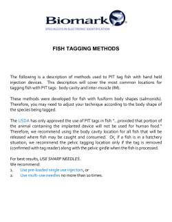 fish tagging methods