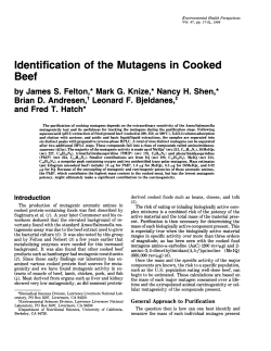 Identification of the Mutagens in Cooked Beef