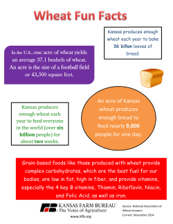 An acre of Kansas wheat produces enough bread to feed nearly