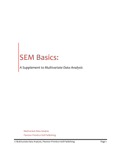 SEM Basics