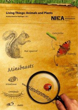 Living Things: Animals and Plants