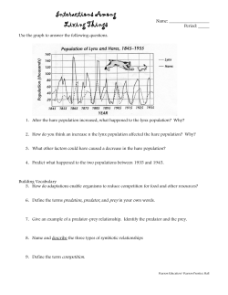 Interactions Among Living Things