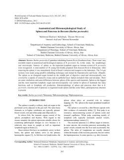 Anatomical and Histomorphological Study of Spleen