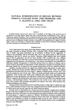 NATURAL HYBRIDIZATION IN BRITAIN BETWEEN P RIMULA