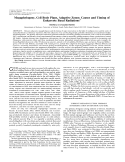 Megaphylogeny, Cell Body Plans, Adaptive Zones: Causes and