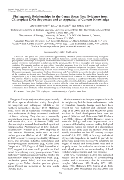Phylogenetic Relationships in the Genus Rosa
