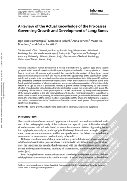 A Review of the Actual Knowledge of the Processes Governing