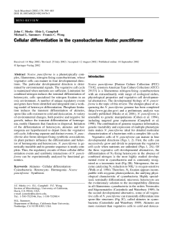 Cellular differentiation in the cyanobacterium Nostoc
