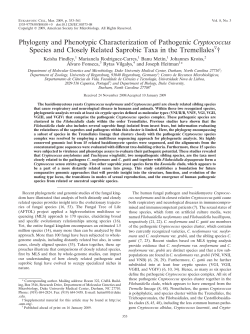 Phylogeny and Phenotypic Characterization of