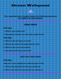 Ocean Webquest