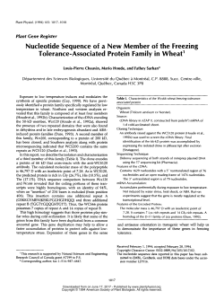 Nucleotide Sequence of a New Member of the