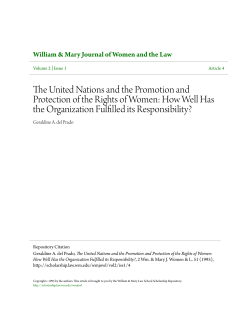 The United Nations and the Promotion and Protection of the Rights