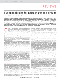 Functional roles for noise in genetic circuits